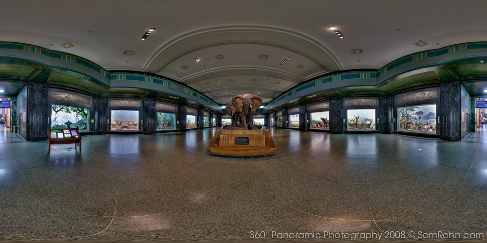 american museum of natural history new york. Museum of Natural History