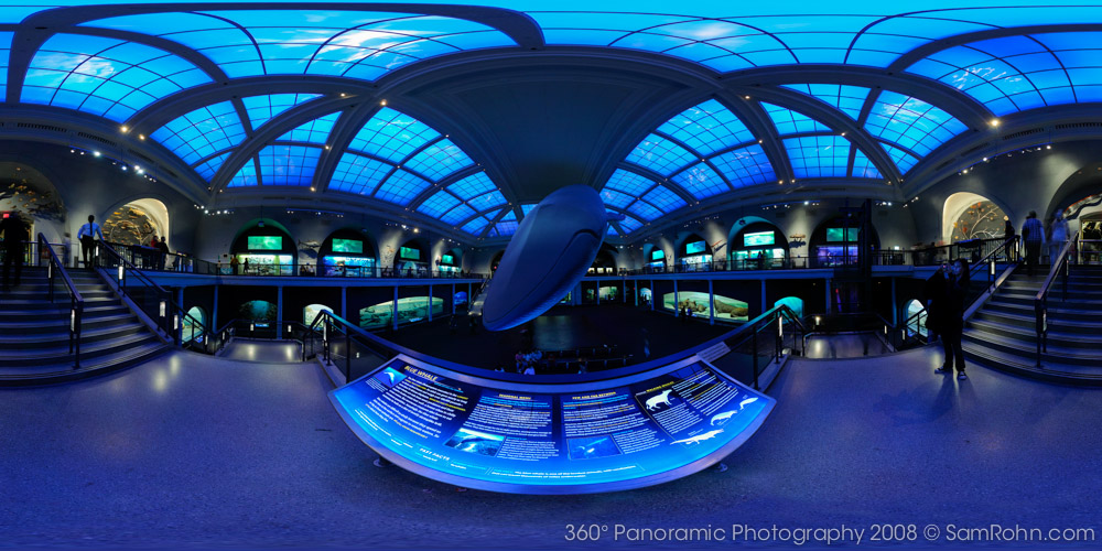 Hall of Ocean Life :: Museum of Natural History :: NYC  :: 360° Panorama